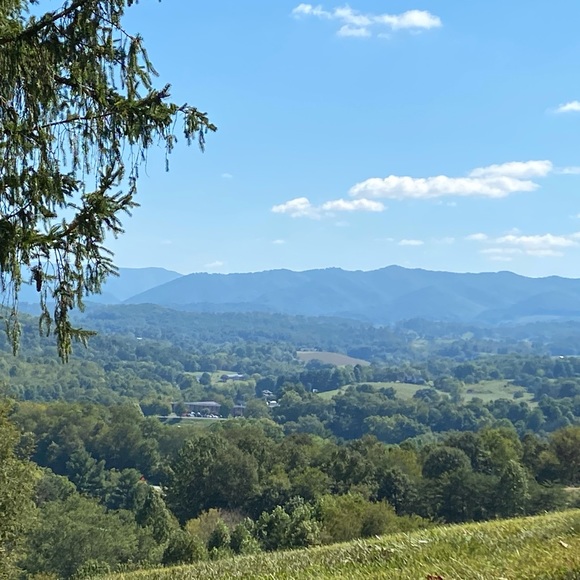 Meet your Posher, Erin - Picture 1 of 5